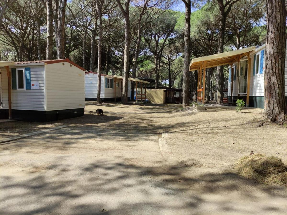 Mipro Mobilhome 5 Lido di Spina Zewnętrze zdjęcie