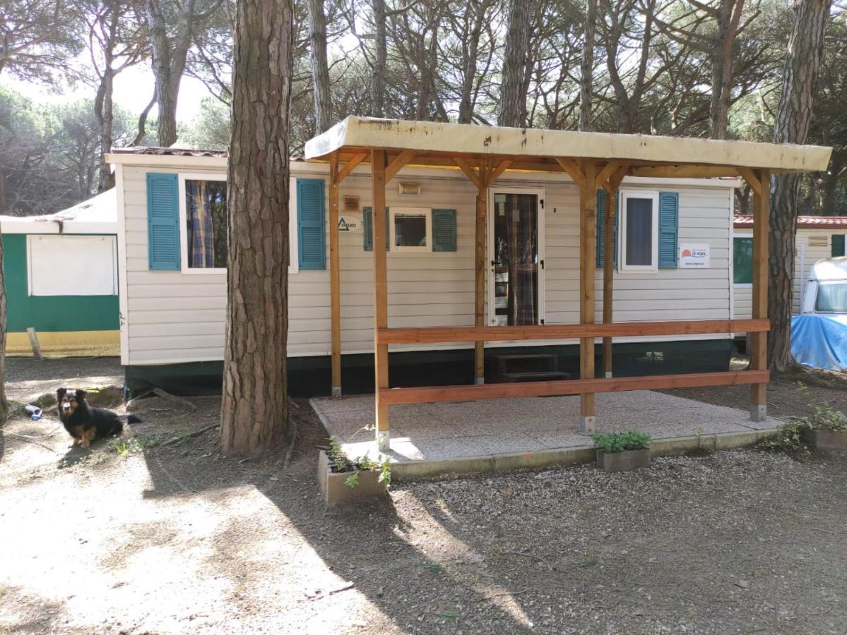 Mipro Mobilhome 5 Lido di Spina Zewnętrze zdjęcie